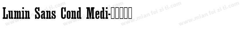 Lumin Sans Cond Medi字体转换